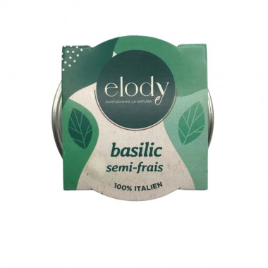 Basilic semi frais Bio (Elody)