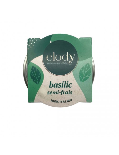 Basilic semi frais Bio (Elody)